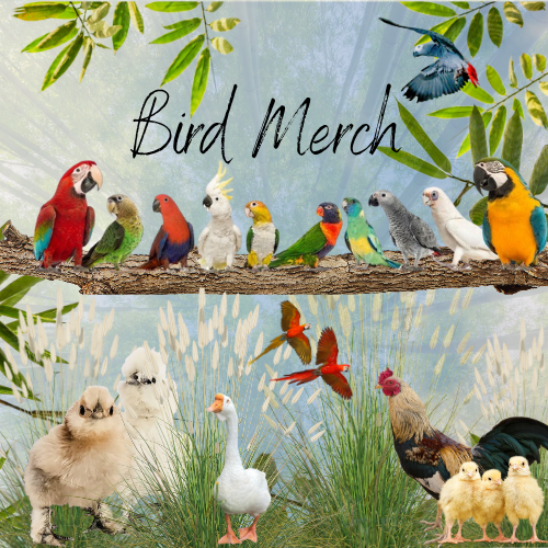 Bird Merch